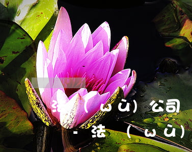 法務(wù)公司協(xié)商還款合法嗎-法務(wù)公司協(xié)商還款合法嗎