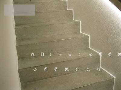 法務(wù)公司是做什么的(法務(wù)公司是做什么的)