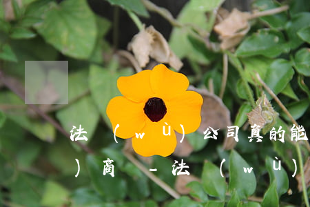 法務(wù)公司真的能跟銀行協(xié)商嗎-法務(wù)公司真的能跟銀行協(xié)商嗎知乎