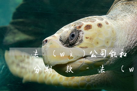 法務(wù)公司能和銀行協(xié)商分期還款嗎-法務(wù)公司能和銀行協(xié)商分期還款嗎