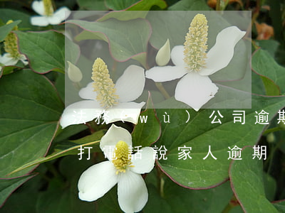 法務(wù)公司逾期怎么辦 法務(wù)打電話說家人逾期
