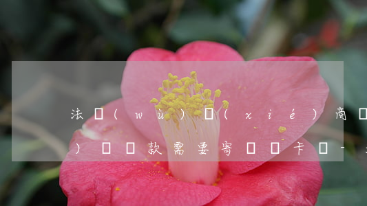 法務(wù)協(xié)商網(wǎng)貸還款需要寄電話卡嗎-法務(wù)協(xié)商網(wǎng)貸還款需要寄電話卡嗎安全嗎