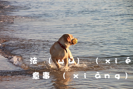法務(wù)協(xié)商還款可信嗎?注意事項(xiàng)有哪些?-法務(wù)協(xié)商還款可信嗎?注意事項(xiàng)有哪些呢