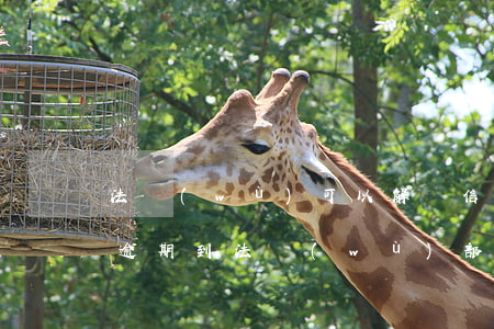 法務(wù)可以解決信用卡逾期嗎(信用卡逾期到法務(wù)部還能協(xié)商嗎)