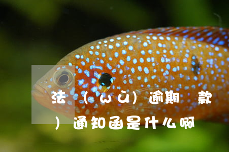 法務(wù)逾期貸款(貸款逾期法務(wù)通知函是什么啊)