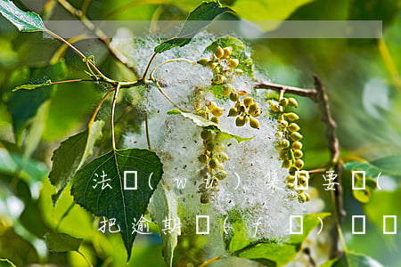 法務(wù)集團要聯(lián)系單位把逾期發(fā)給單位-法務(wù)集團要聯(lián)系單位把逾期發(fā)給單位怎么辦