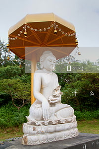 法務(wù)顧問需要律師證嗎(法律顧問要考什么證)