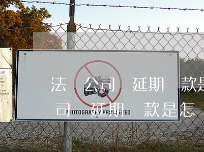 法務公司幫延期還款是怎樣操作的-法務公司幫延期還款是怎樣操作的呢