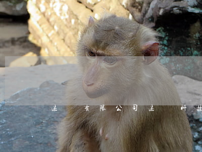 法務有限公司(法務科技有限公司)
