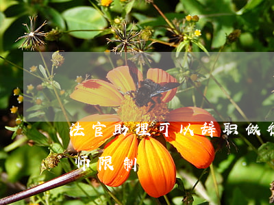 法官助理可以辞职做律师吗(法官辞职后当律师限制)