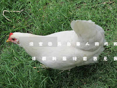法官因与当事人同吃同住前往取证等被控枉法裁判最终宣告无罪