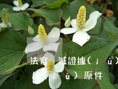 法官毀滅證據(jù)如何處理(法官扣留證據(jù)原件)