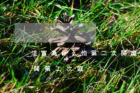 法官為什么怕第二次開庭(法院什么情況下會開第二次庭)