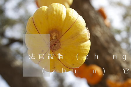 法官被指長(zhǎng)期接受律所主任轉(zhuǎn)賬！官方：一查到底，絕不姑息
