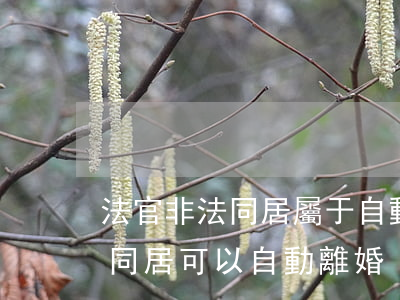 法官非法同居屬于自動離婚嗎(婚姻法多久不同居可以自動離婚)