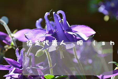 法定代表人證明書(shū)