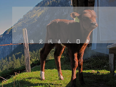 法定代表人變更