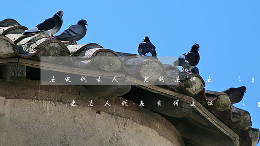 法定代表人變更的法律法規(guī)(要變更法人代表有何法律規(guī)定嗎)
