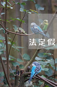 法定假日信用卡算逾期嗎