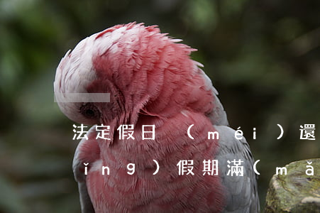 法定假日沒(méi)還款是逾期嗎(請(qǐng)假期滿(mǎn)無(wú)正當(dāng)理由逾期不歸連續(xù)超過(guò)多少天)
