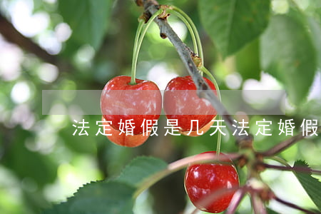 法定婚假是几天(法定婚假有多长时间)