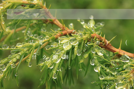 法定監(jiān)護(hù)人的年齡有什么限制