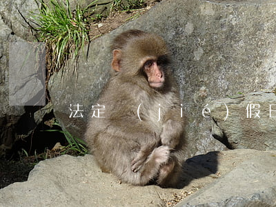 法定節(jié)假日
