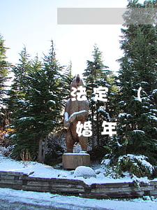 法定結(jié)婚年齡(法定結(jié)婚年齡)