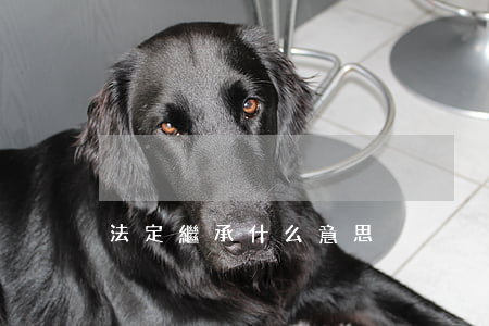 法定繼承什么意思