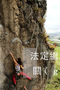 法定繼承財產(chǎn)怎么分配(繼承法關(guān)于房產(chǎn)繼承分配)
