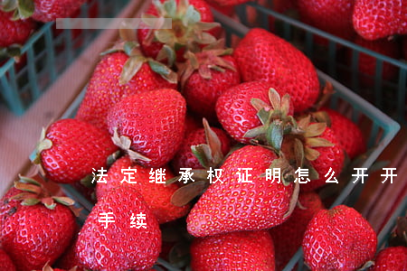 法定继承权证明怎么开(开继承证明需要什么手续)