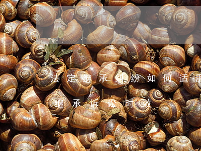 法定继承纠纷如何适用诉讼时效(民法典关于继承诉讼时效)