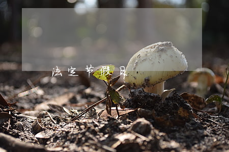 法定节假日