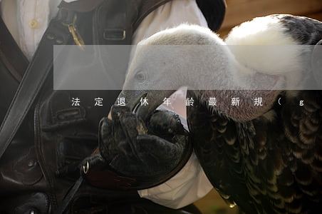 法定退休年齡最新規(guī)定