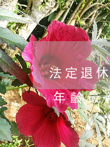 法定退休年齡最新規(guī)定(法定退休年齡最新規(guī)定2021女)
