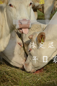 法定退休年齡最新規(guī)定(法定退休年齡最新規(guī)定2022)