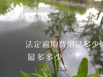 法定逾期费用是多少(逾期后产生的逾期费用最多多少)
