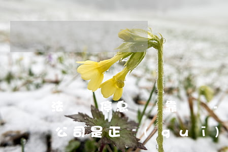 法幫幫停息掛賬靠譜嗎-債務(wù)委托公司是正規(guī)的嗎