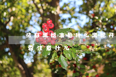 法庭离婚准备什么(离婚开庭需要准备什么,需要注意什么)