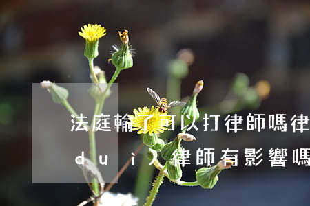法庭輸了可以打律師嗎(律師打官司輸了對(duì)律師有影響嗎)