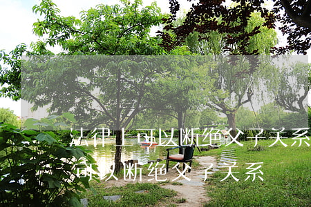 法律上可以断绝父子关系吗(有没有什么法律可以断绝父子关系)