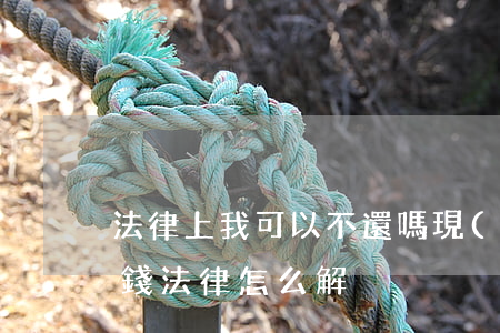 法律上我可以不還嗎(現(xiàn)在不還錢法律怎么解決)