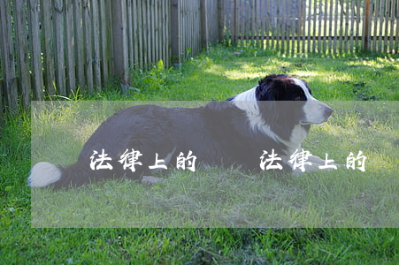 法律上的問題(法律上的問題問誰)