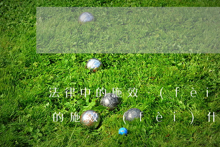 法律中的施效費(fèi)什么意思(法律中的施效費(fèi)什么意思)