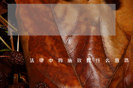 法律中的施效費什么意思