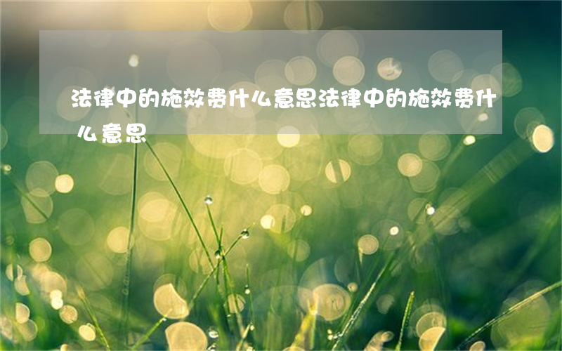 法律中的施效费什么意思(法律中的施效费什么意思)