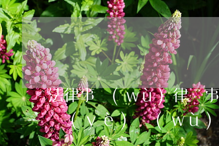 法律事務(wù)律師事務(wù)(律師的業(yè)務(wù))