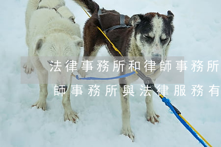 法律事務所和律師事務所的區(qū)別(律師事務所與法律服務有限公司的區(qū)別)