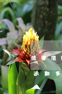 法律信用卡逾期商談律師(找律師處理信用卡逾期多久可以有結(jié)果的)