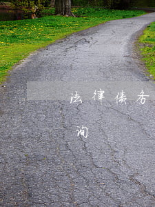 法律债务律师靠谱么(债务律师事务所法律咨询)